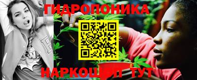 твердый Краснодар